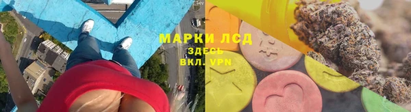 ГАЛЛЮЦИНОГЕННЫЕ ГРИБЫ Кукмор