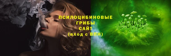 ГАЛЛЮЦИНОГЕННЫЕ ГРИБЫ Кукмор