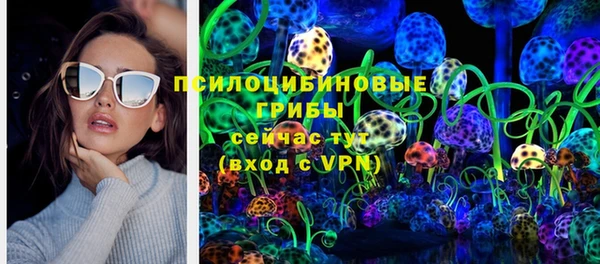 ГАЛЛЮЦИНОГЕННЫЕ ГРИБЫ Кукмор