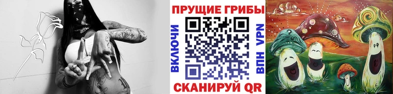 даркнет официальный сайт  Полтавская  Галлюциногенные грибы ЛСД  ссылка на мегу  